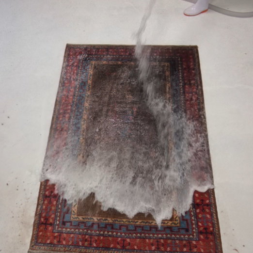 カビ臭とホコリ臭のペルシャ絨毯を完全洗浄